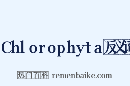 Chlorophyta反义词是什么意思的图片